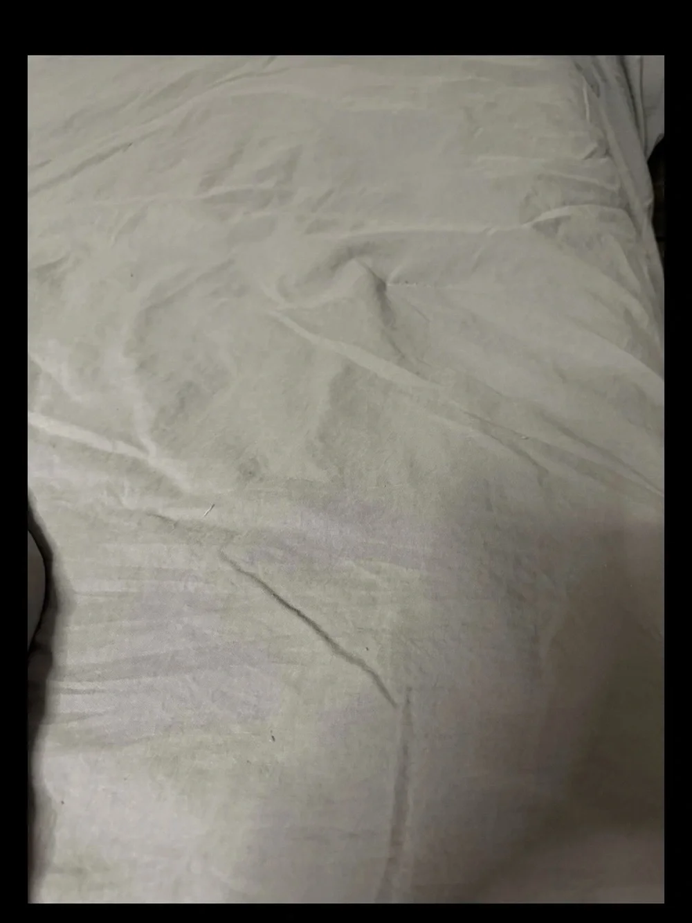 Soft Gray Comforter Set - Modern Minimal Bedding Queen with shams good shape